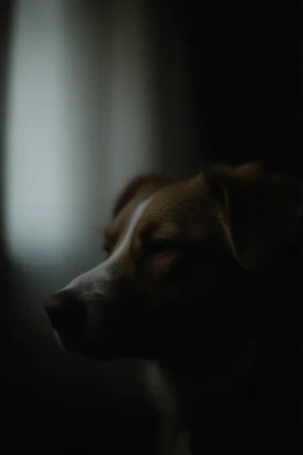 Cinematic Noir Realism style reference image — intimate close-up