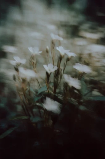 Kinetic Liminal Ghost style reference image — desaturated moody tones