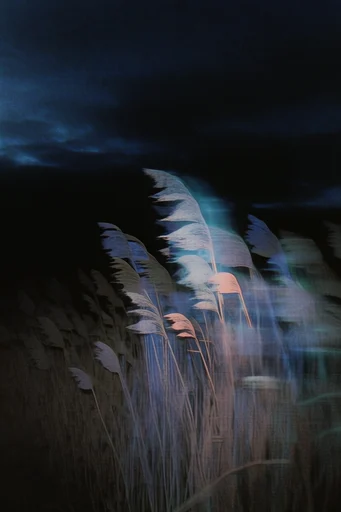Ethereal Grain Surrealism style reference image — grainy film texture
