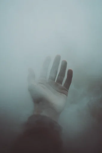 Ethereal Atmospheric Solitude style reference image — cool monochromatic palette