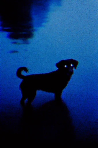 Nocturnal Cobalt Liminality style reference image — minimalist atmospheric void