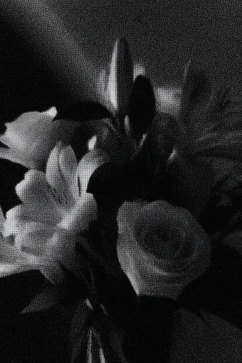 Monochrome Analog Corruption style reference image — heavy film grain