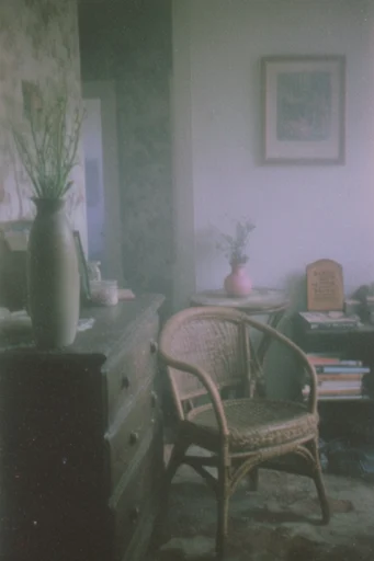Analog Nostalgic Realism style reference image — vintage nostalgic atmosphere