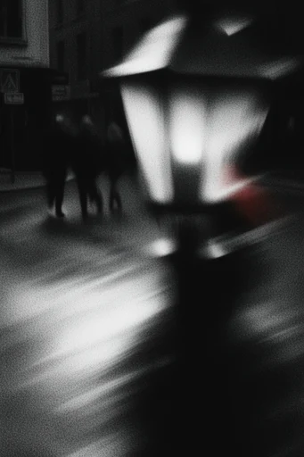 Textured Monochrome Noir style reference image — high-contrast monochrome