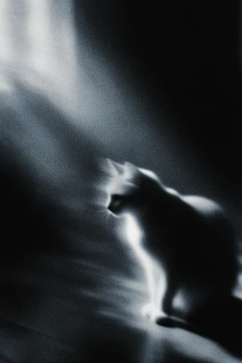 Haunting Spectral Noir style reference image — analog artifacting