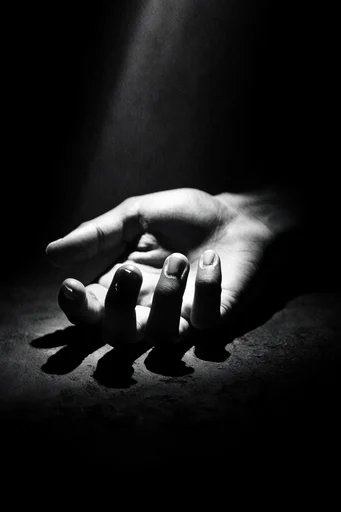 Spectral Gothic Noir style reference image — monochromatic noir