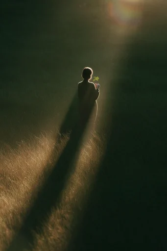 Minimalist Verdant Chiaroscuro moodboard — generate AI images in this style