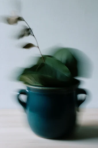 Kinetic Ghost Minimalism style reference image — shutter drag
