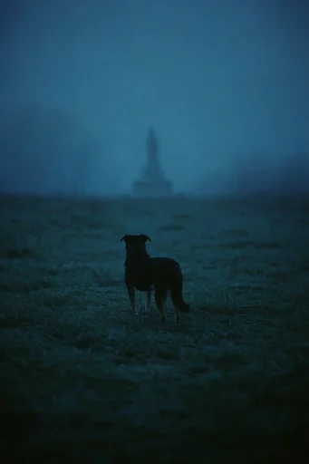 Nocturnal Pictorialist Mist style reference image — mysterious melancholic mood