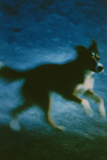 Luminous Motion Impressionism style reference image — dreamlike cinematic atmosphere