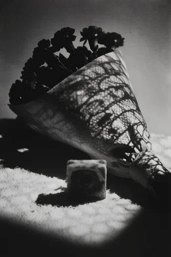 Monochrome Shadow Architecture style reference image — dramatic chiaroscuro