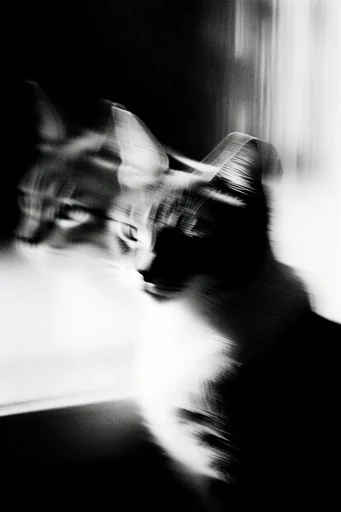 Spectral Kinetic Noir style reference image — analog photocopy texture