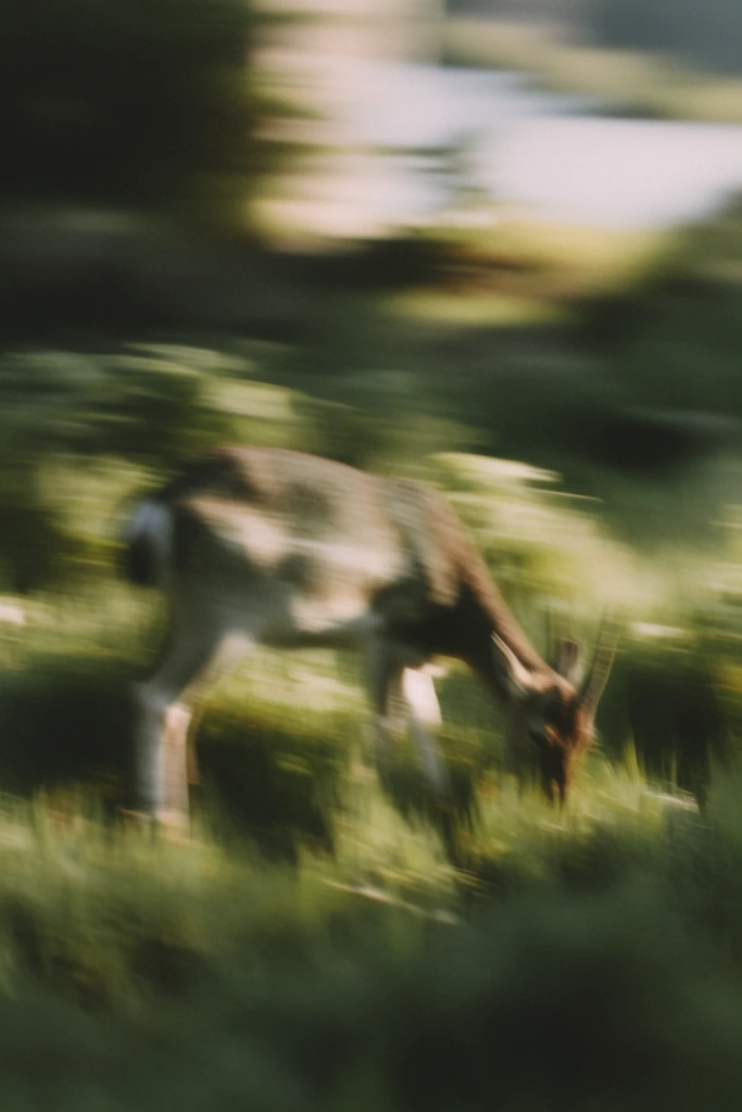 Ethereal Impressionist Haze style AI image example 3
