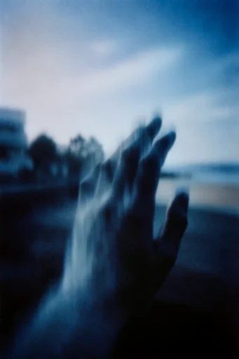 Ethereal Cyanotype Noir style reference image — heavy film grain