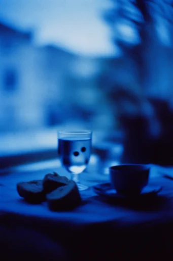 Nocturnal Twilight Melancholy style reference image — twilight blue hour