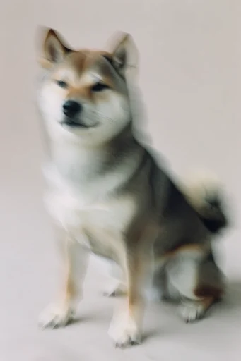 Ethereal Motion Minimalism style reference image — soft-focus painterly texture