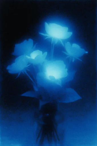 Nocturnal Ethereal Cyan style reference image — nocturnal cyanotype aesthetic