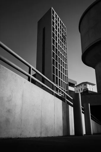 Monochromatic Structural Noir style reference image — high-contrast monochrome