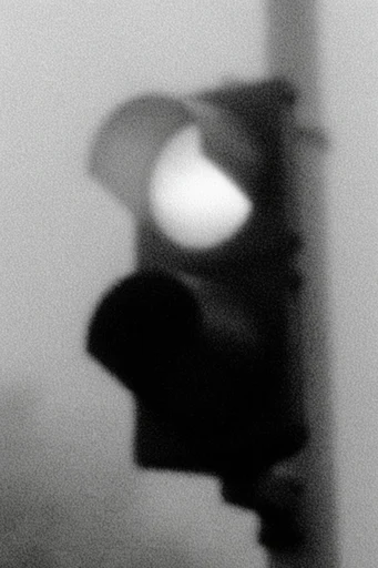 Monochrome Pictorialist Dreamscape style reference image — soft focus blur