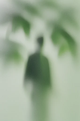 Ethereal Muted Haze moodboard — generate AI images in this style