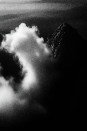 Cinematic Monochrome Noir style reference image — chiaroscuro lighting