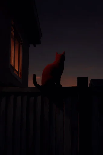 Cinematic Nocturnal Anime style reference image — industrial silhouette