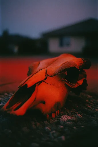 Crimson Nocturnal Liminality style AI image example 3
