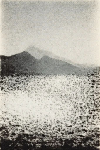 Textured Monochromatic Print style reference image — high-contrast monochrome
