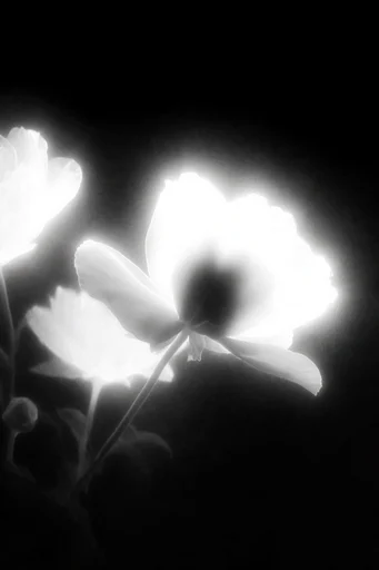 Spectral Cosmic Noir style reference image — minimalist composition