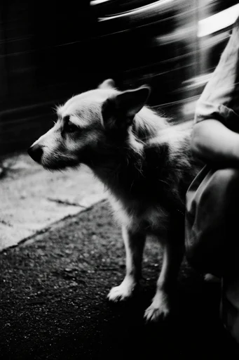 Spectral Noir Motion style reference image — cinematic noir atmosphere