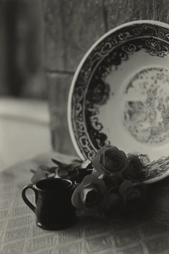 Raw Monochrome Analog style reference image — heavy film grain
