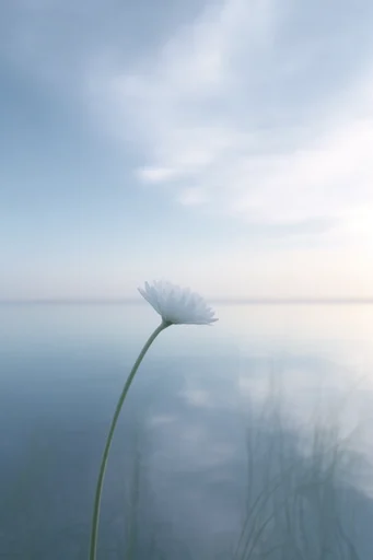 Stark Minimalist Horizon style reference image — atmospheric gradient