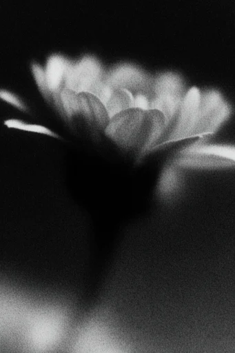 Visceral Spectral Noir style reference image — lo-fi noir texture