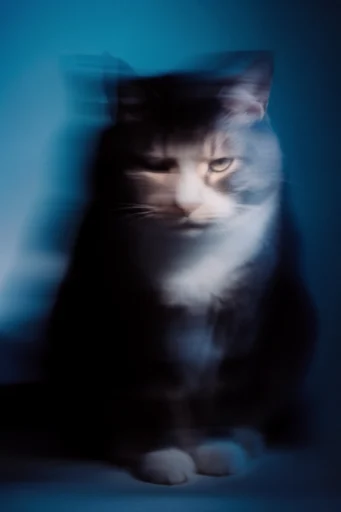 Spectral Motion Noir style reference image — analog film grain