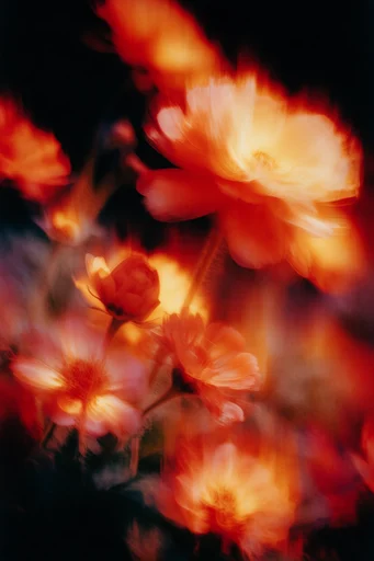 Luminous Thermal Dreamscape style reference image — tactile texture