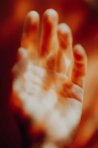 Luminous Thermal Dreamscape style reference image — soft focus dreamscape