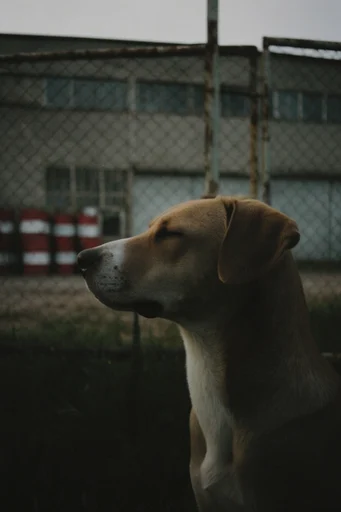 Cinematic Analog Introspection style reference image — candid cinematic composition