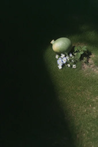 Cinematic Emerald Chiaroscuro style reference image — high-angle perspective