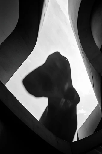 Monochromatic Brutalist Geometry style reference image — architectural scale
