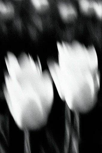 Ethereal Analog Dread style reference image — surreal nightmare
