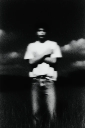 Nocturnal Spectral Blur style reference image — low-fidelity aesthetic