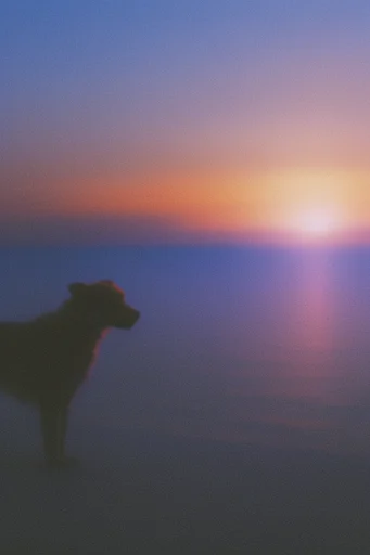 Nostalgic Analog Surrealism style reference image — vibrant color contrast