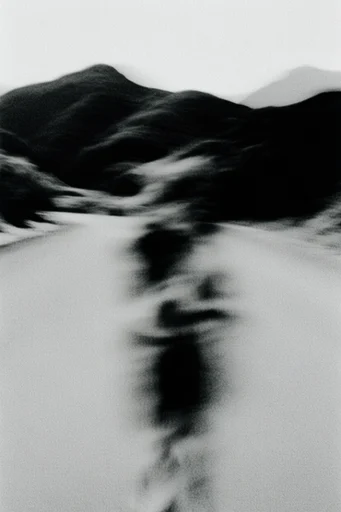 Kinetic Monochrome Noir style reference image — high-contrast monochrome