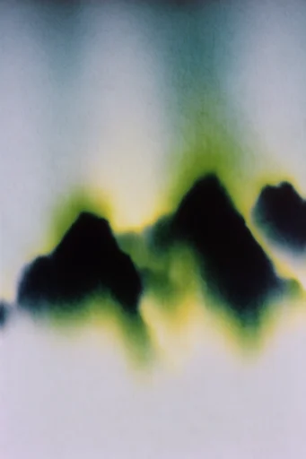 Spectral Thermal Minimalism style reference image — blurry silhouette