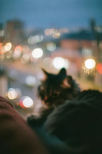 Cinematic Nocturnal Bokeh style reference image — moody urban portraiture