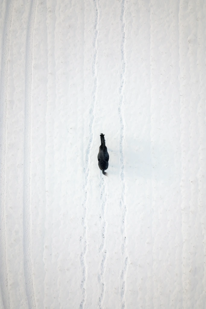 Minimalist Aerial Surrealism style AI image example 3