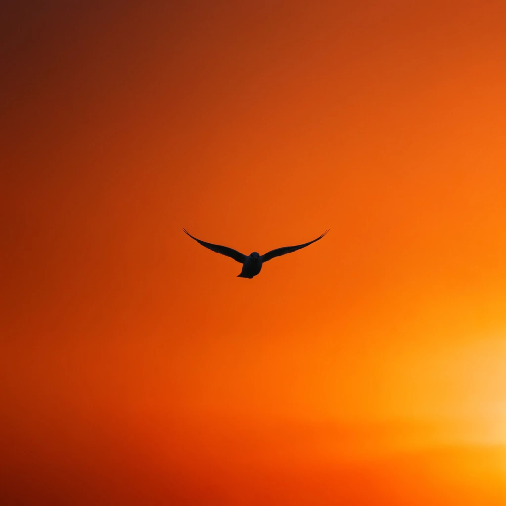 A solitary bird in mid-flight is silhouetted against an intensely vibrant, gradient orange sky. The dark avian figure faces forward with wings outstretched, captured in stark contrast. The minimalist background transitions smoothly from deep burnt orange in the upper left to a brilliant, glowing golden-orange in the lower right, creating a vast, atmospheric scene through wide framing and striking minimalism.