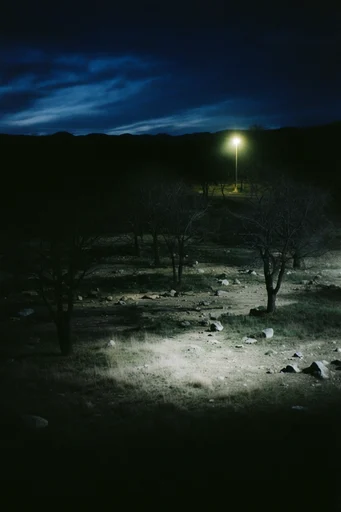 Cinematic Nocturnal Melancholia style AI image example 2