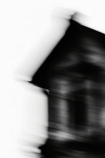 Ethereal Kinetic Monochrome style reference image — motion blur