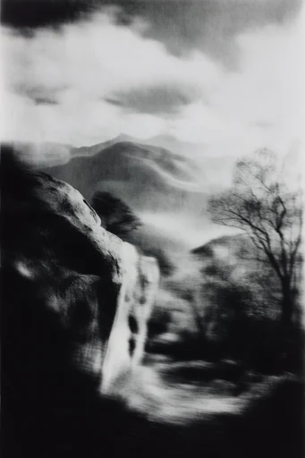 Spectral Gothic Noir style reference image — high contrast black and white